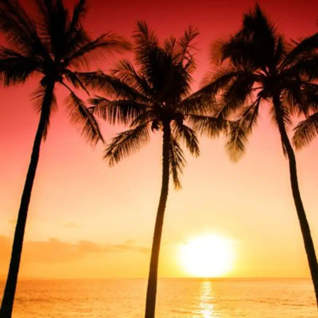 Total Relaxation: Sleep Music and Ocean Waves