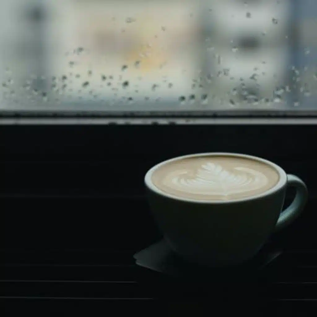 Rainy Day Coffee Shop