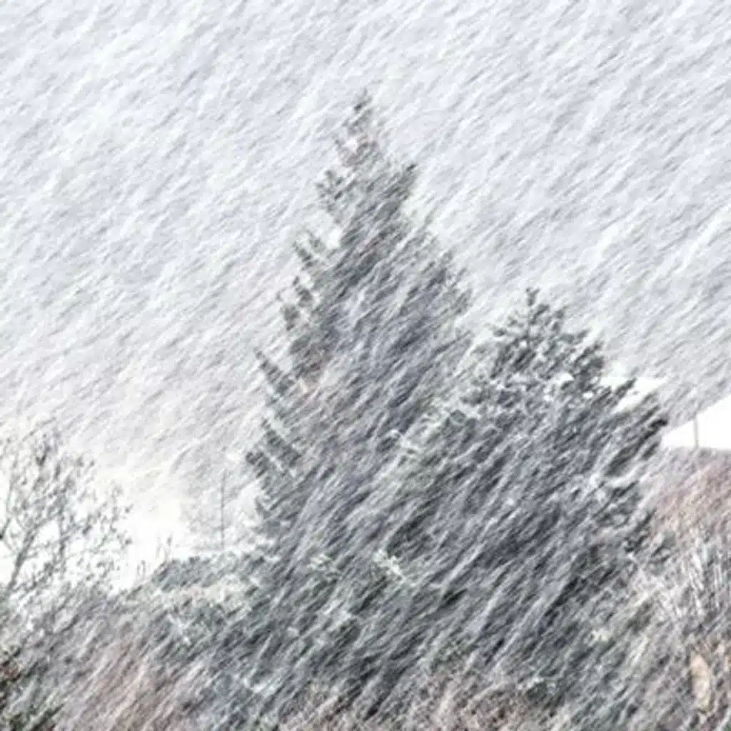 Snow Blizzard White Noise