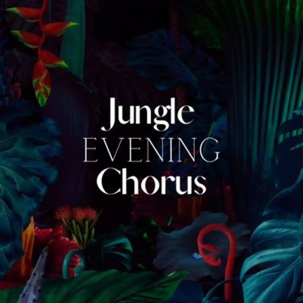 Jungle Evening Chorus: Nature Sounds for Sleep