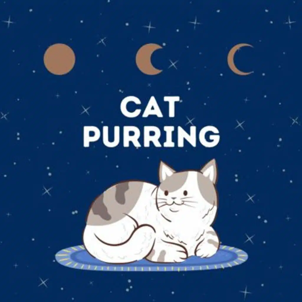 Cat Purring: Relax and Sleep