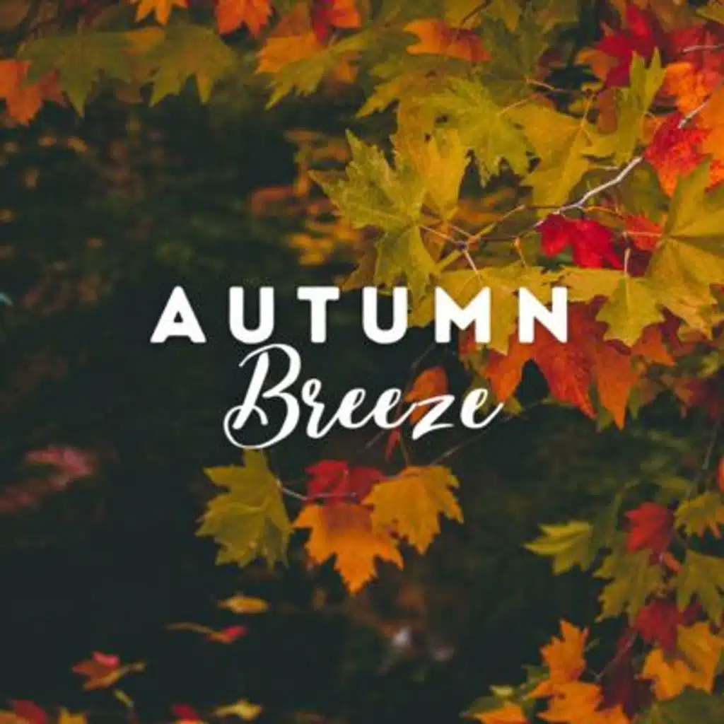Autumn Breeze: Wind and Rustling Leaves Sound