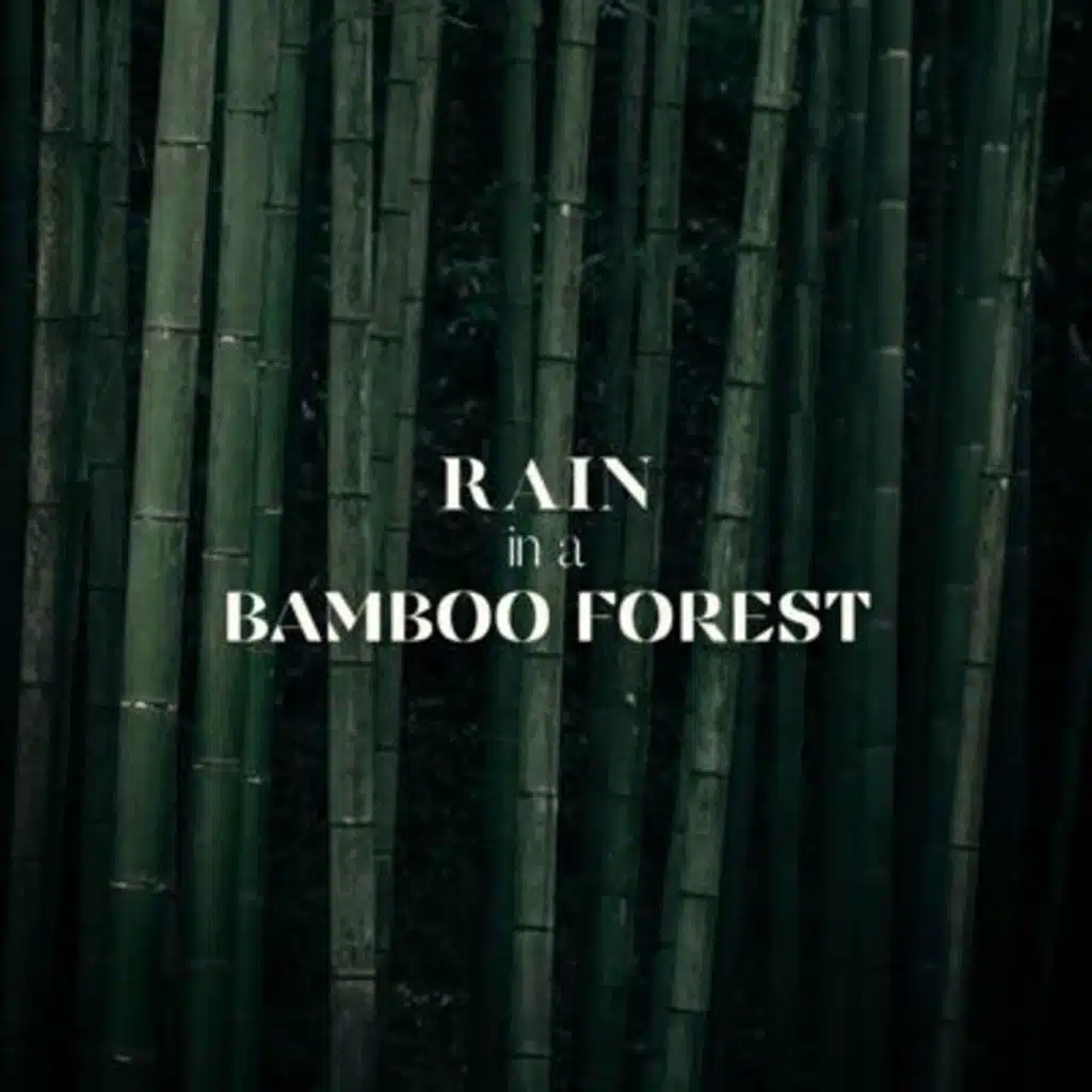Rain in a Bamboo Forest: Sleep Sounds