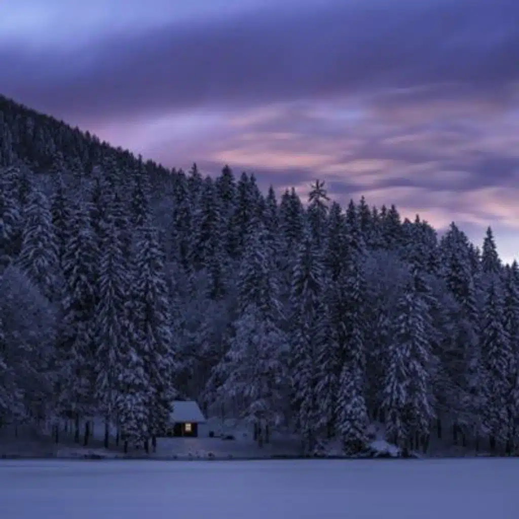 Cozy Cabin in Winter Ambience | Wind and Crackling Fire Sounds