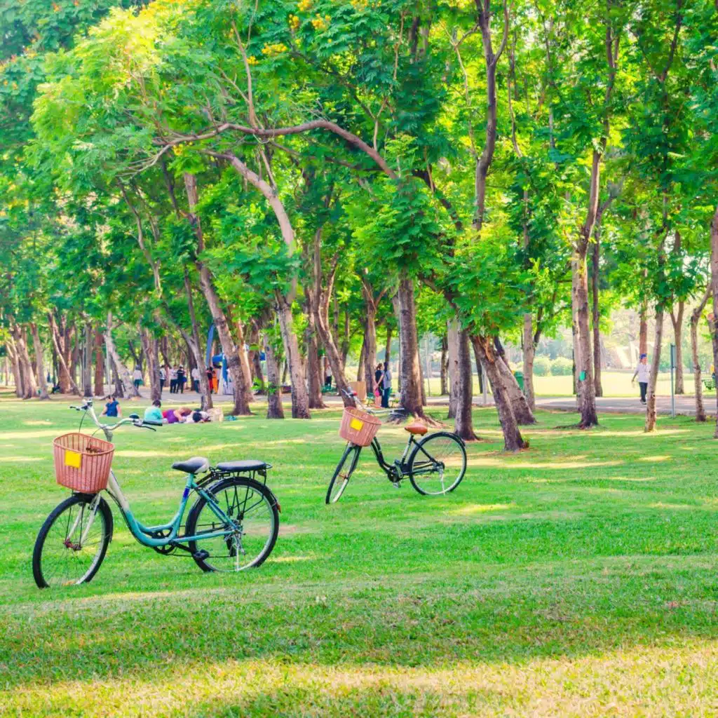 City Park Ambience | Soothing Soundscape for Focus & Relaxation