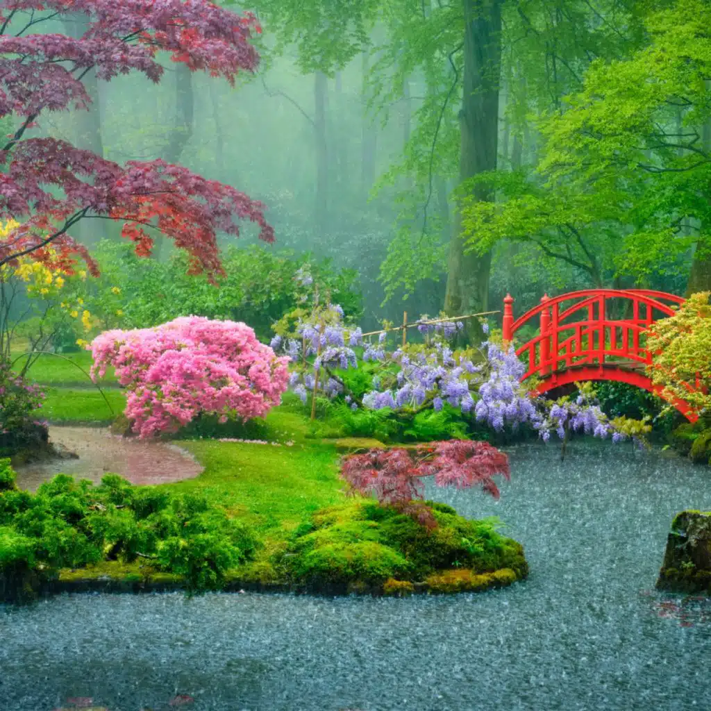 Spring Rain Showers in the Garden | Rain & Garden Sounds