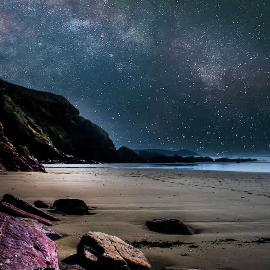 Oceanside Ambience | Ocean Waves, Crickets, Seagull Sounds