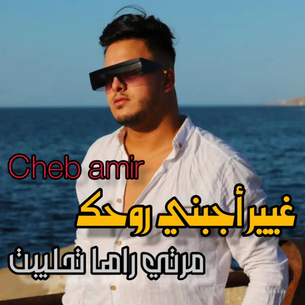 Cheb Amir