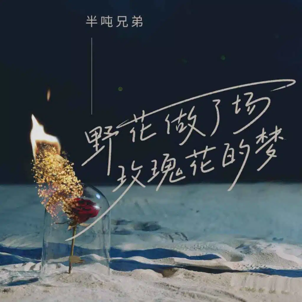 野花做了场玫瑰花的梦 (Dj沈念版)