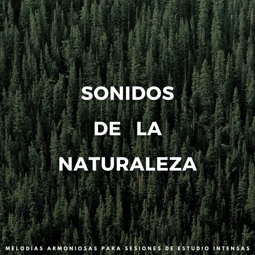 Sonidos De La Naturaleza : Melodías Armoniosas Para Sesiones De Estudio Intensas