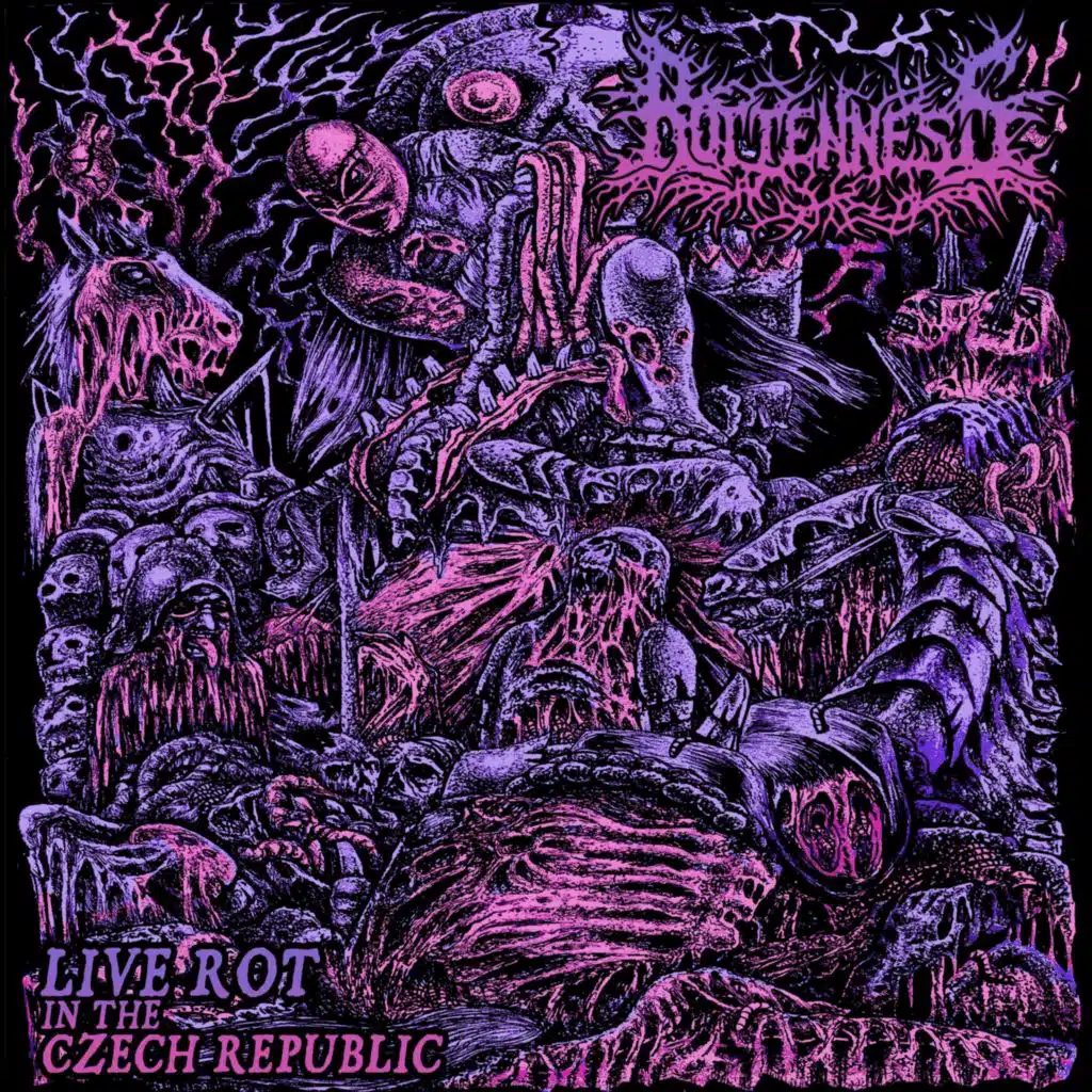 Intro: Live Rot in the Czech Republic (Live)