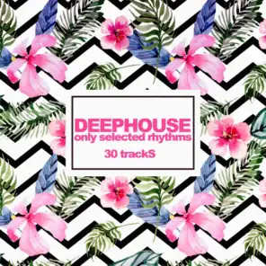 Deephouse (Only Selected Rhythms)