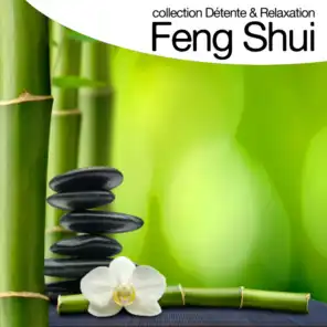 Feng shui (Collection détente et relaxation)