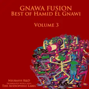 Gnawa Fusion, Vol. 3