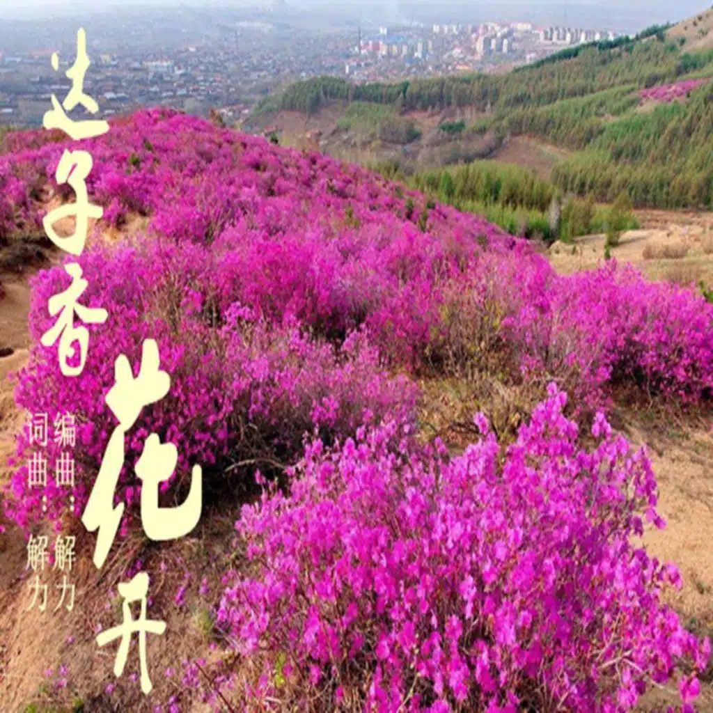 解力 & 枕云听月