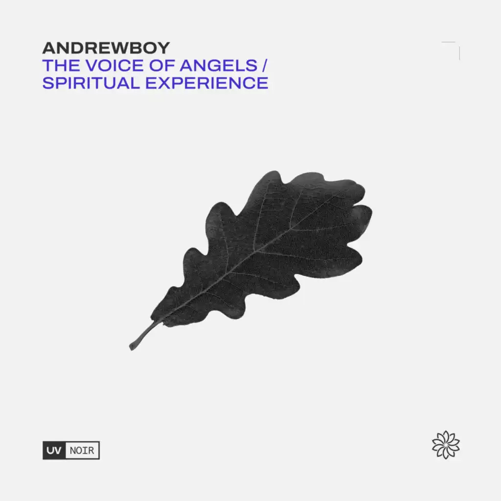 Spiritual Experience (Cary Crank Extended Remix)