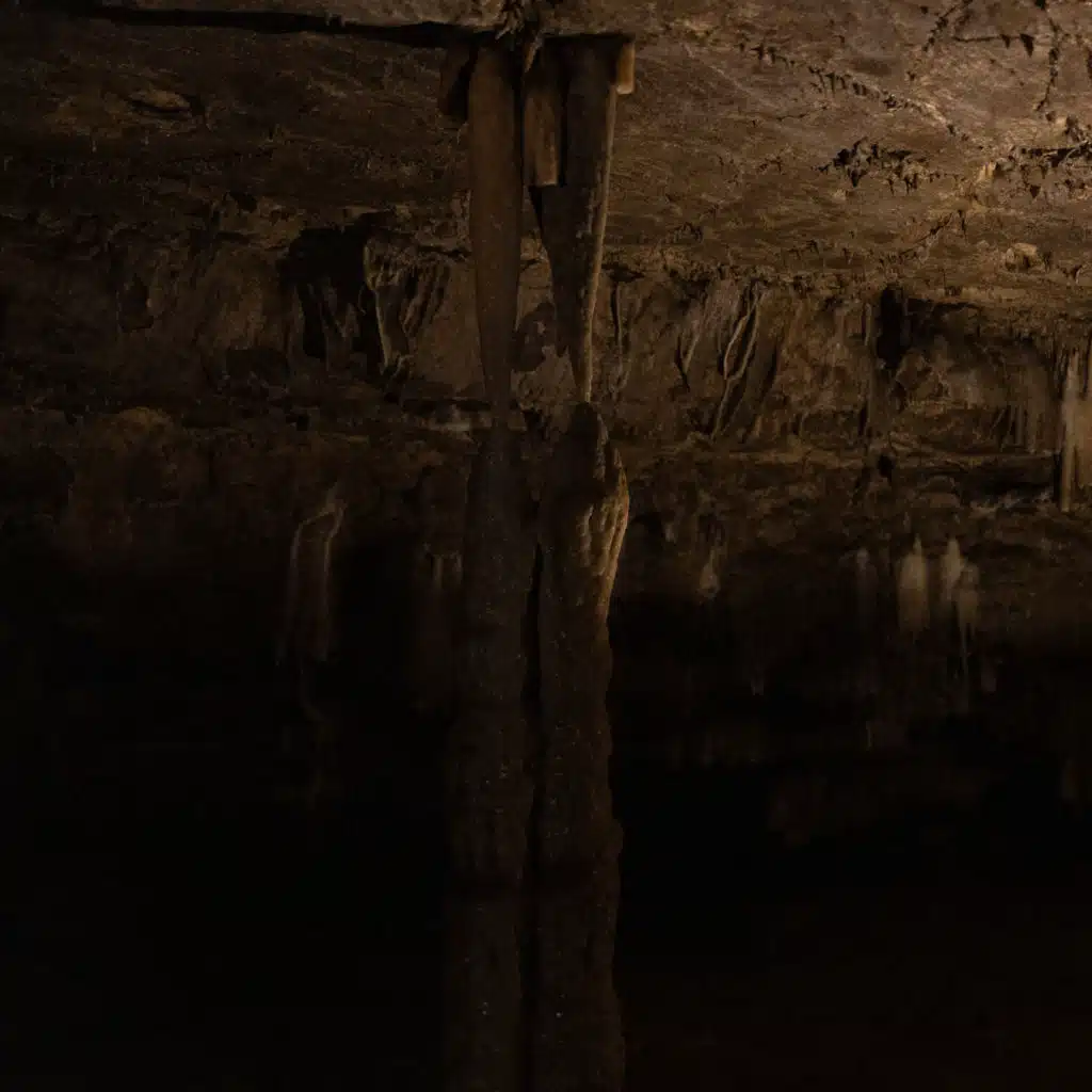 Without You (Dirty Werk Remix)