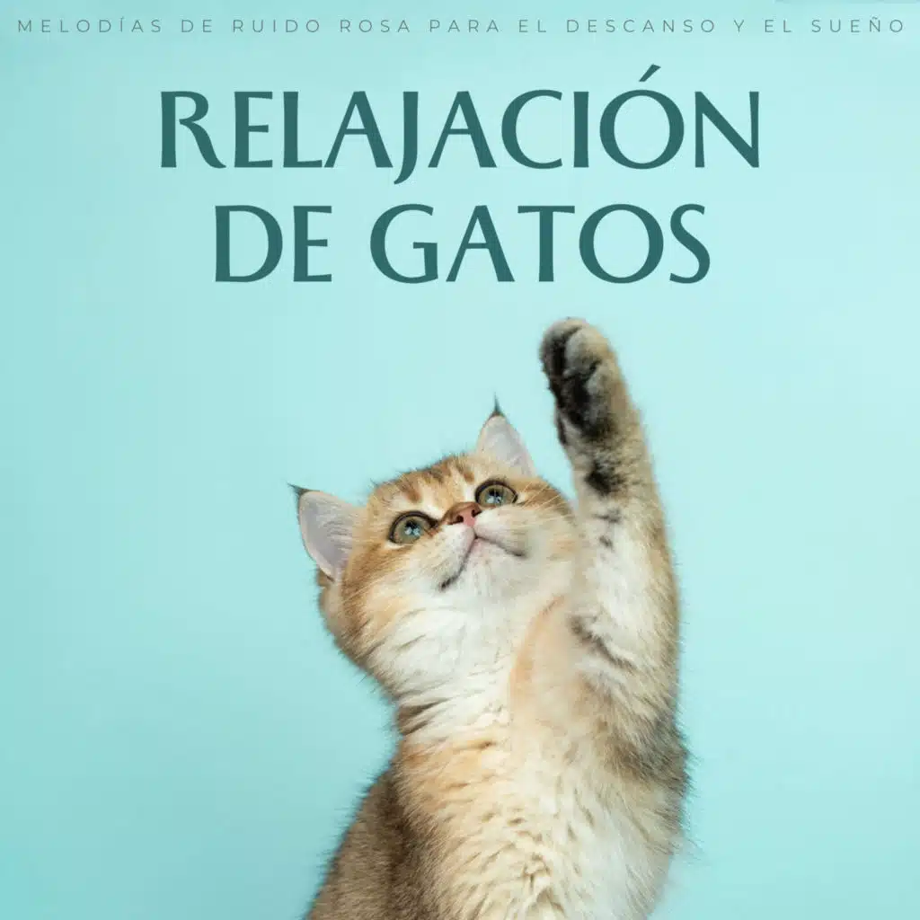 Relajación De Gatos: Melodías De Ruido Rosa Para El Descanso Y El Sueño