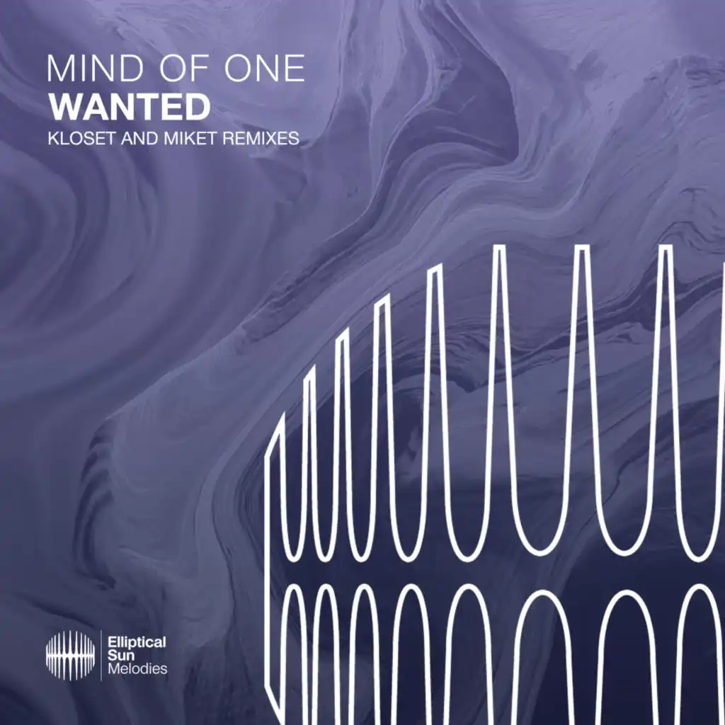 Wanted (MikeT Extended Remix)