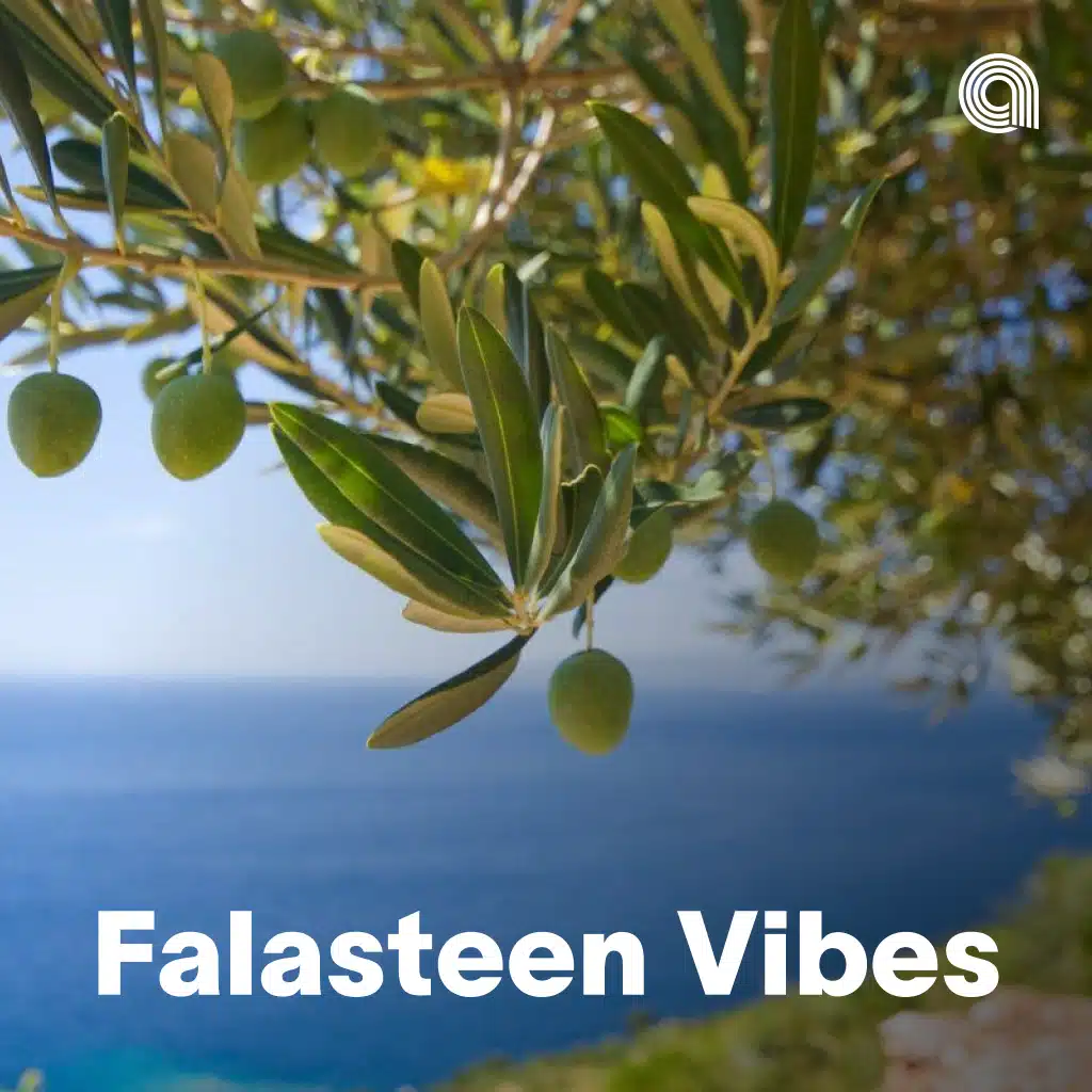 Falasteen Vibes