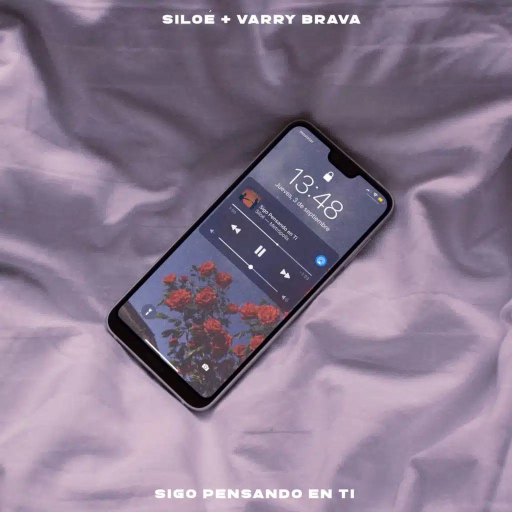 Sigo Pensando en Ti (feat. Varry Brava)