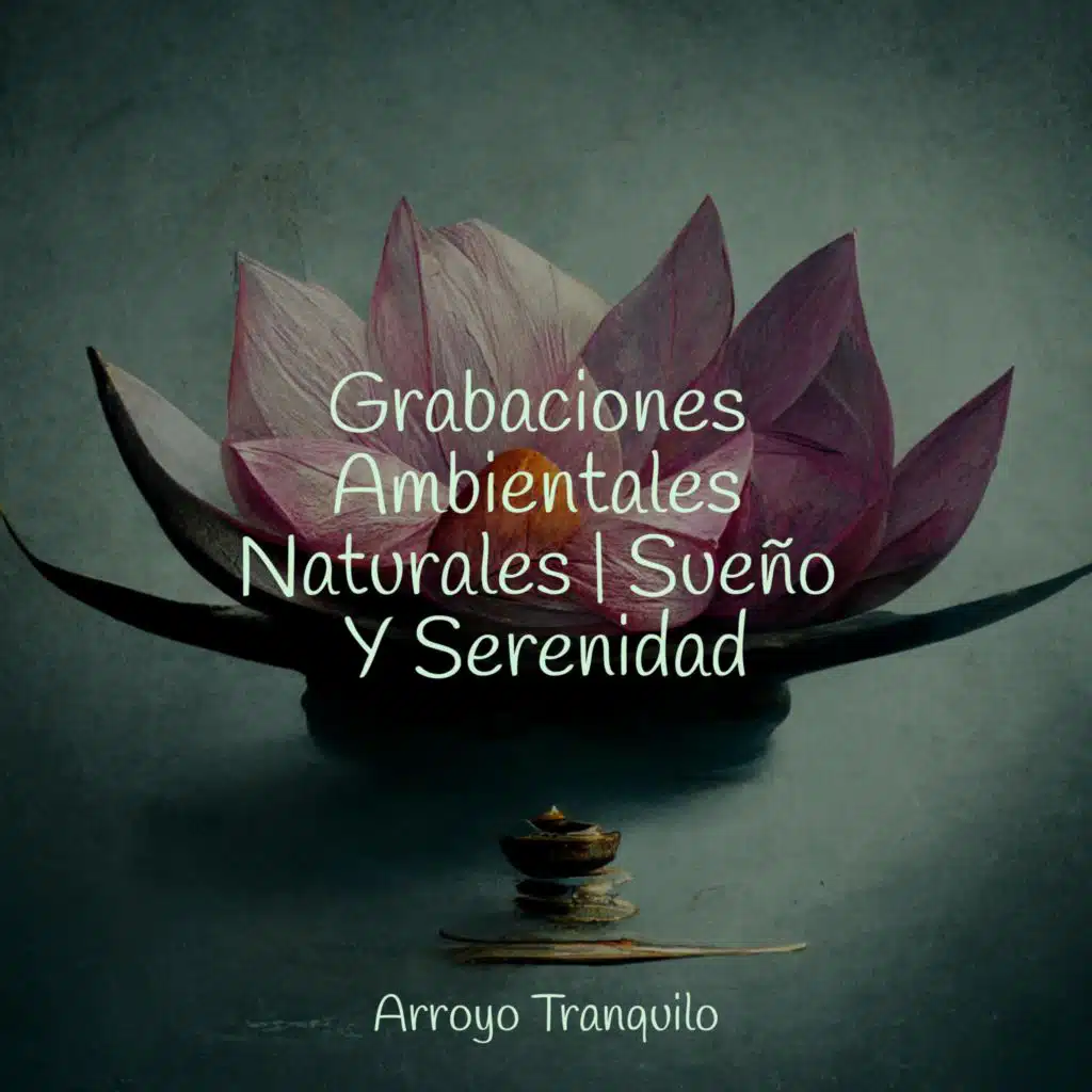 Grabaciones Ambientales Naturales | Sueño Y Serenidad