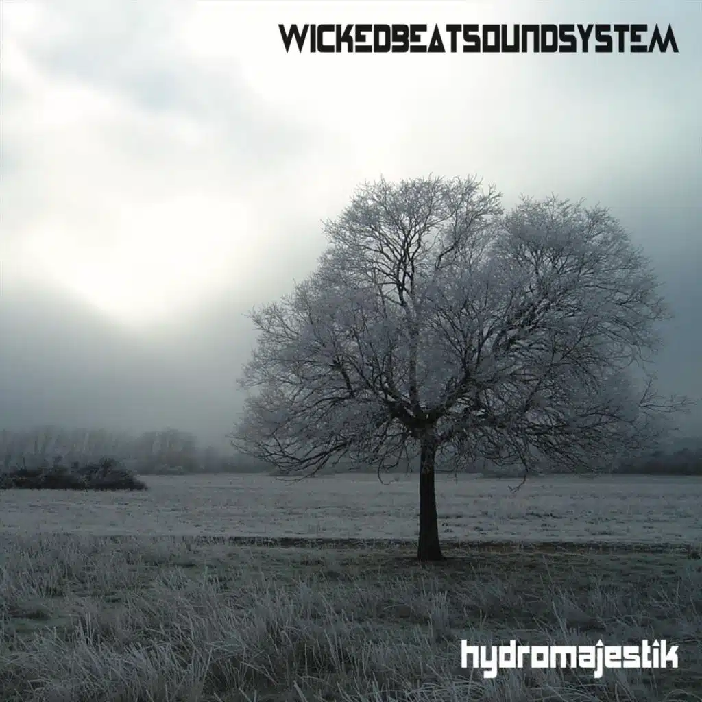 Wicked Beat Sound System