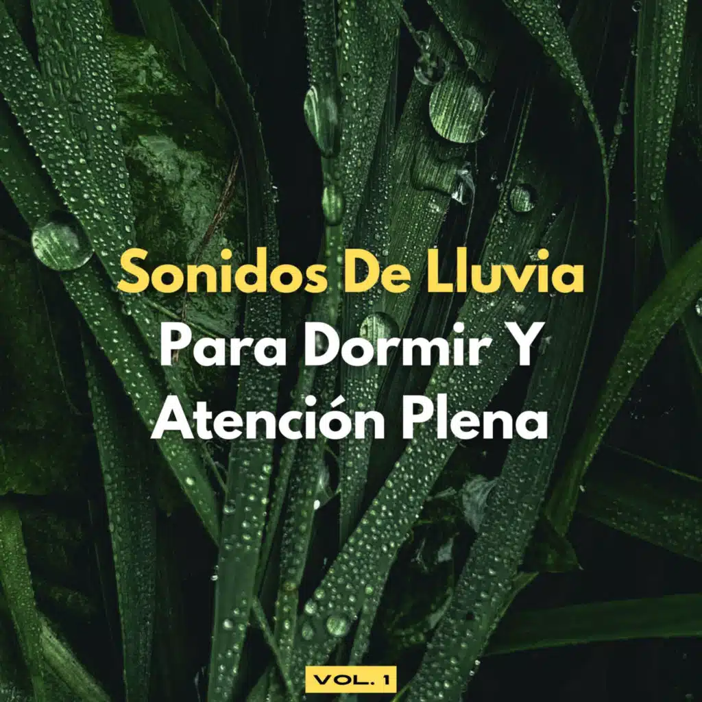 Sonidos De Lluvia Para Dormir Y Atención Plena, Vol. 1