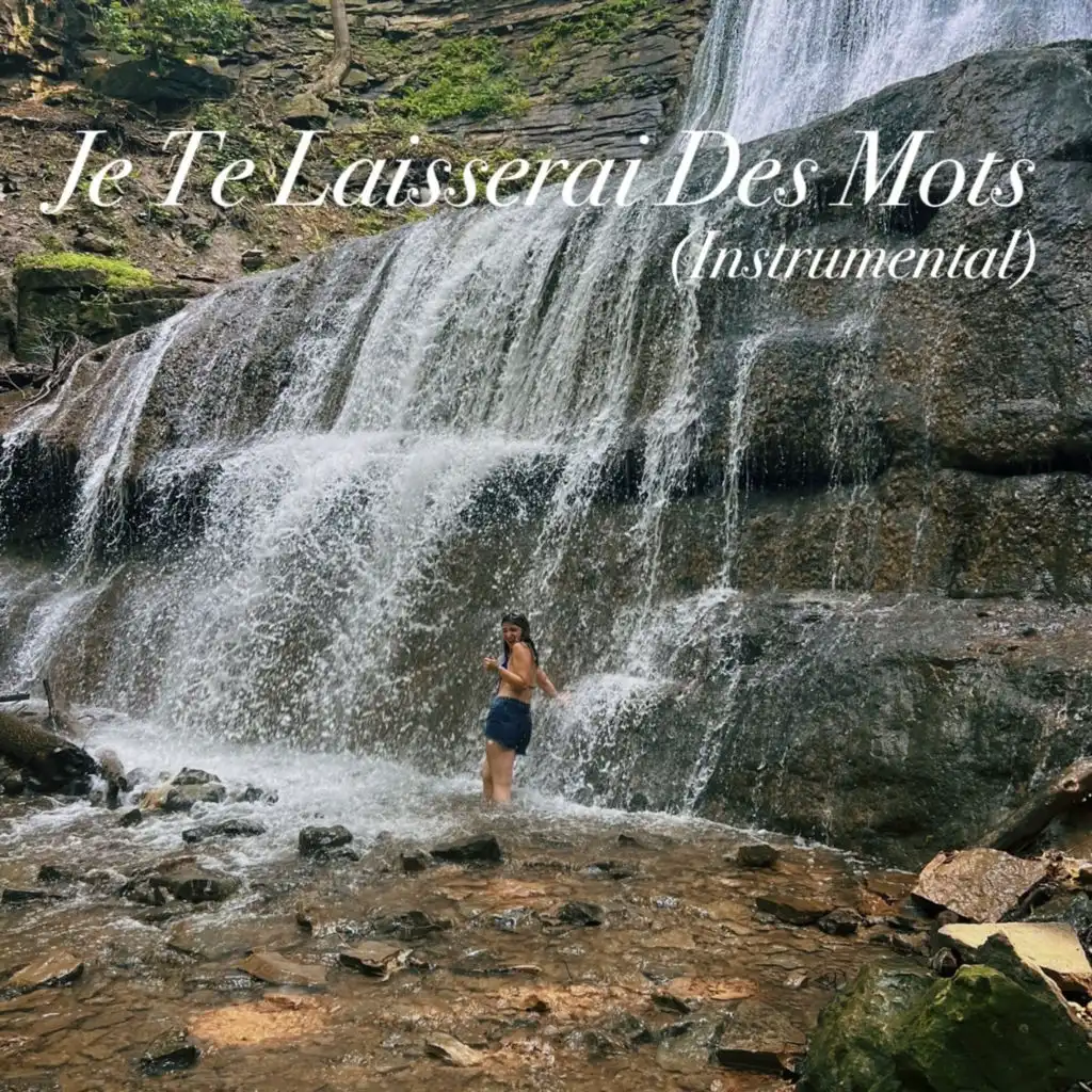 Je Te Laisserai Des Mots (Instrumental)