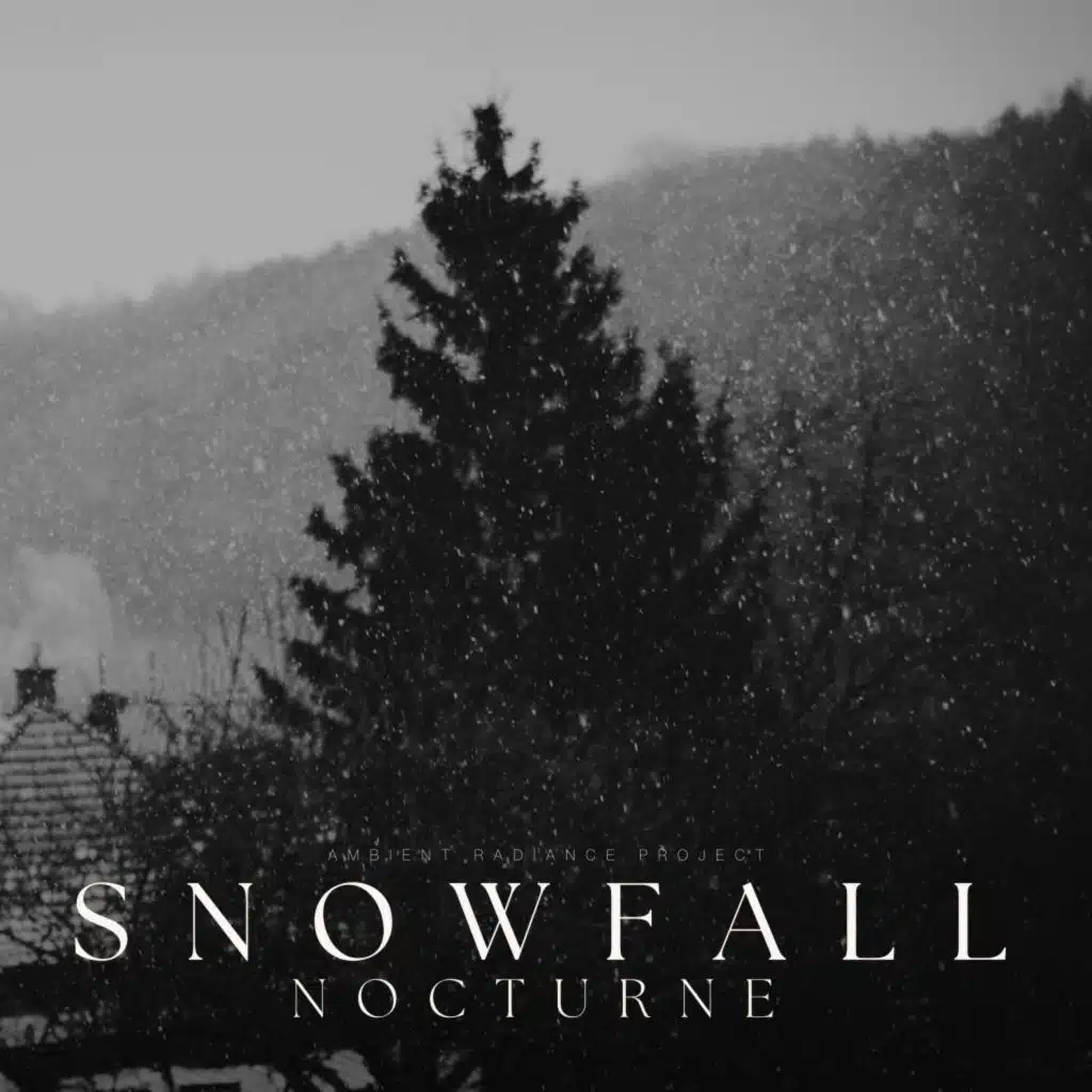 Snowfall Nocturne