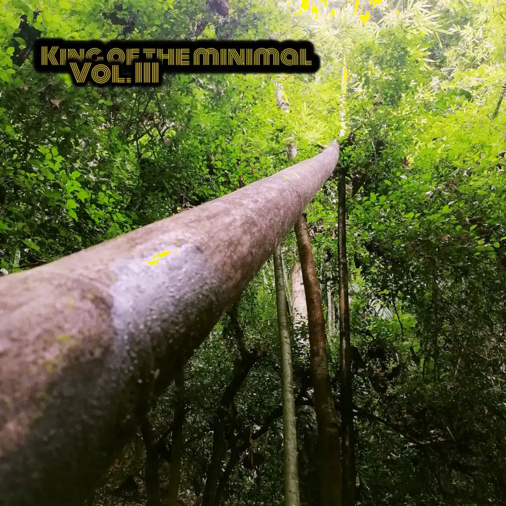 King of the Minimal, Vol. III