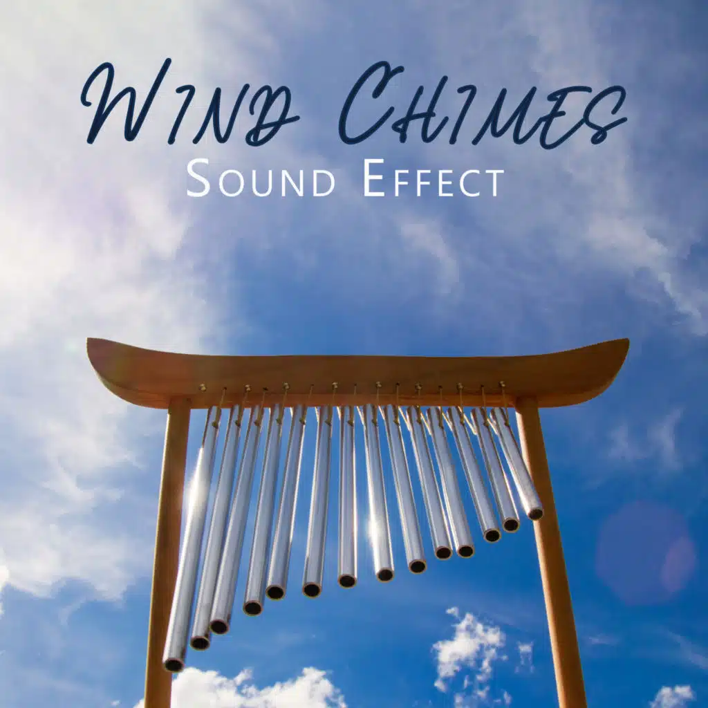 Sound Effects Zone & In Yoga Academy