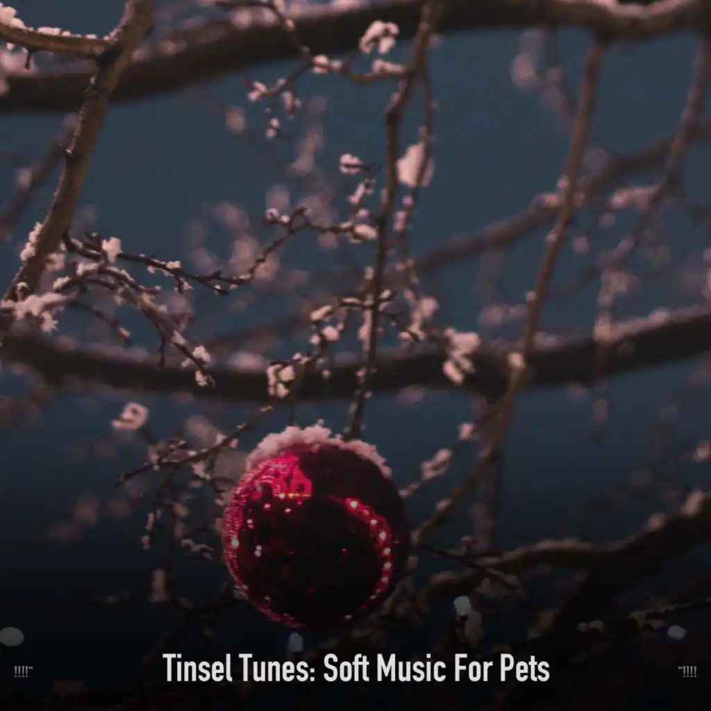 !!!!" Tinsel Tunes: Soft Music For Pets "!!!!