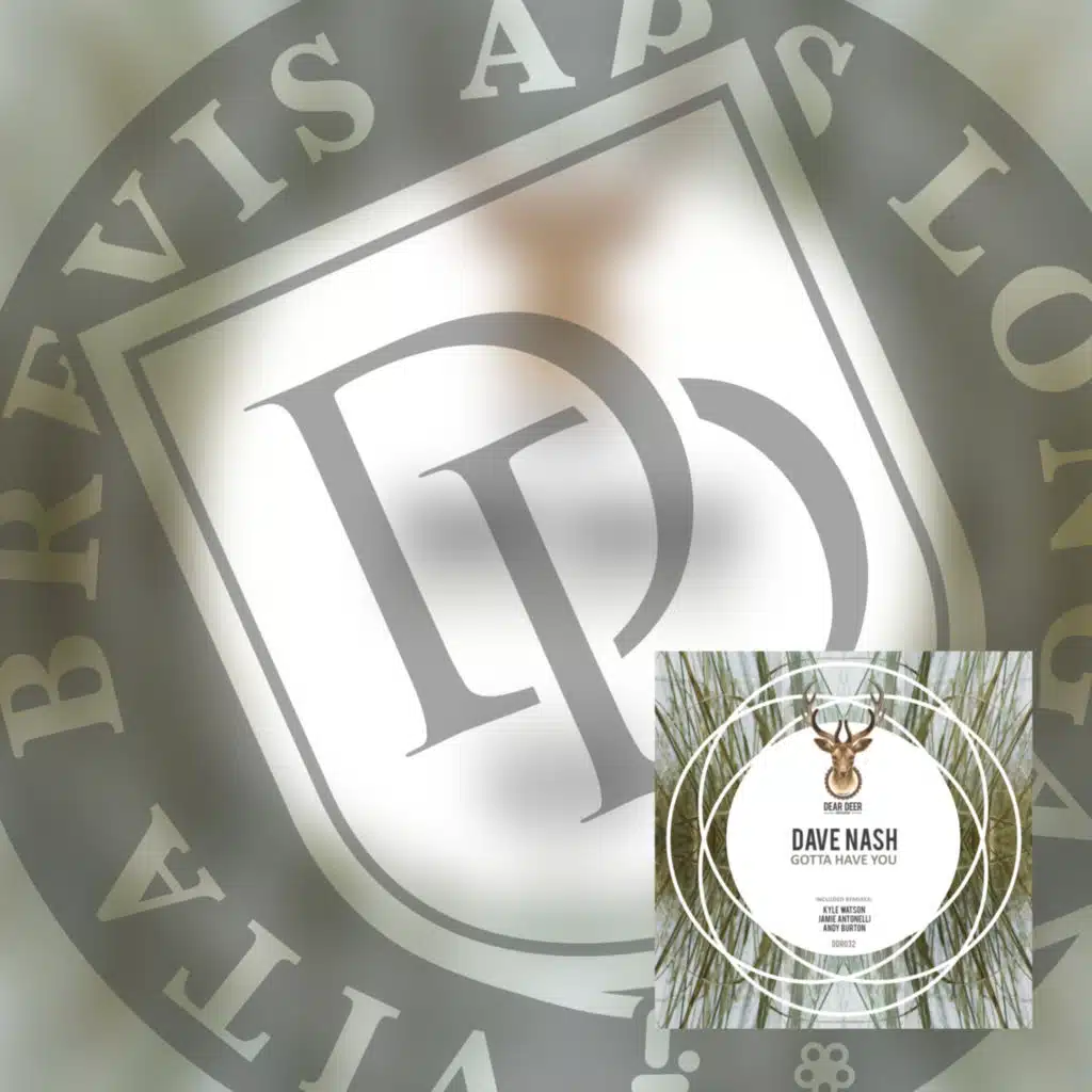 Gotta Have U (Jamie Antonelli Remix)