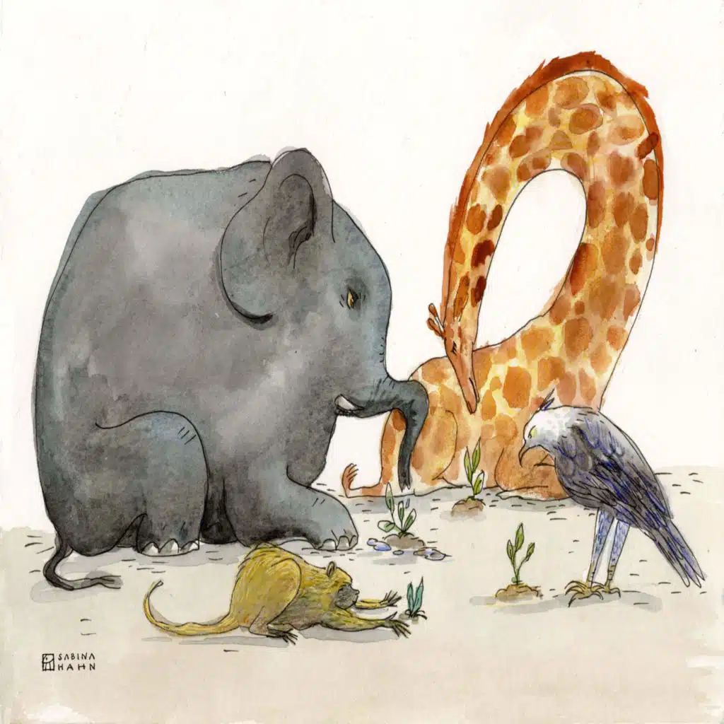 The Upside-Down Tree | Ep. 228