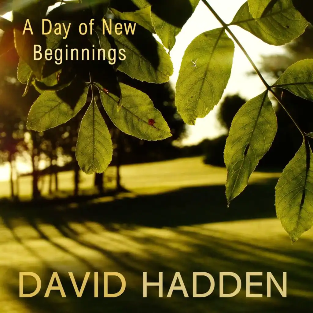 David Hadden