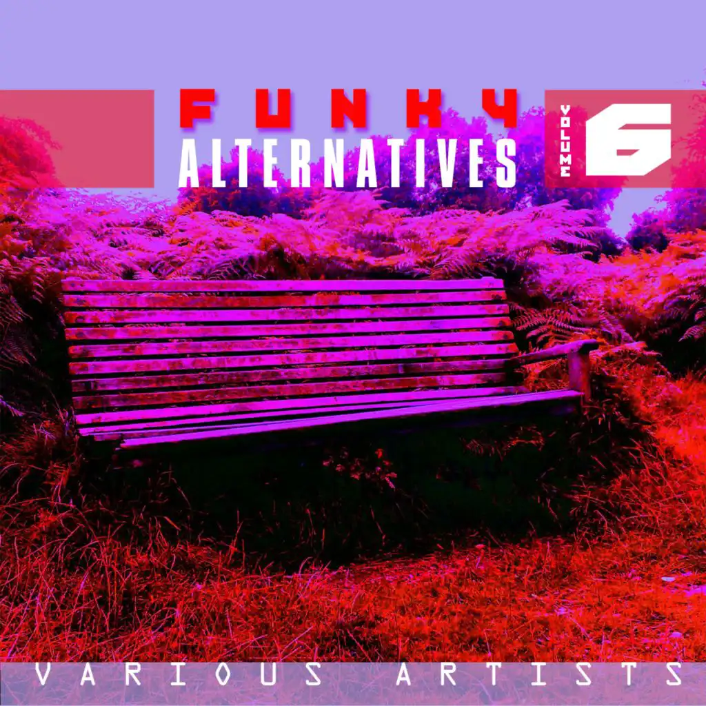 Funky Alternatives Volume 6