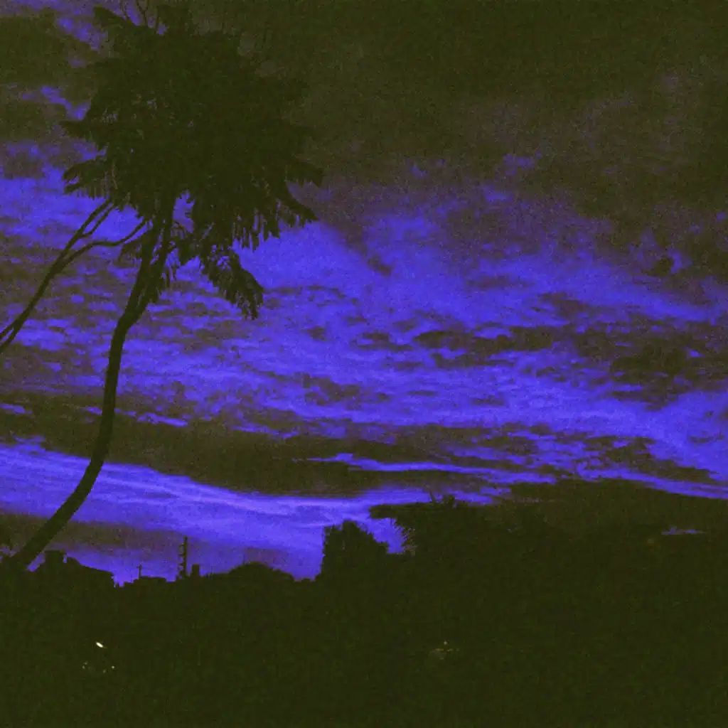 Moon Song (Acoustic)