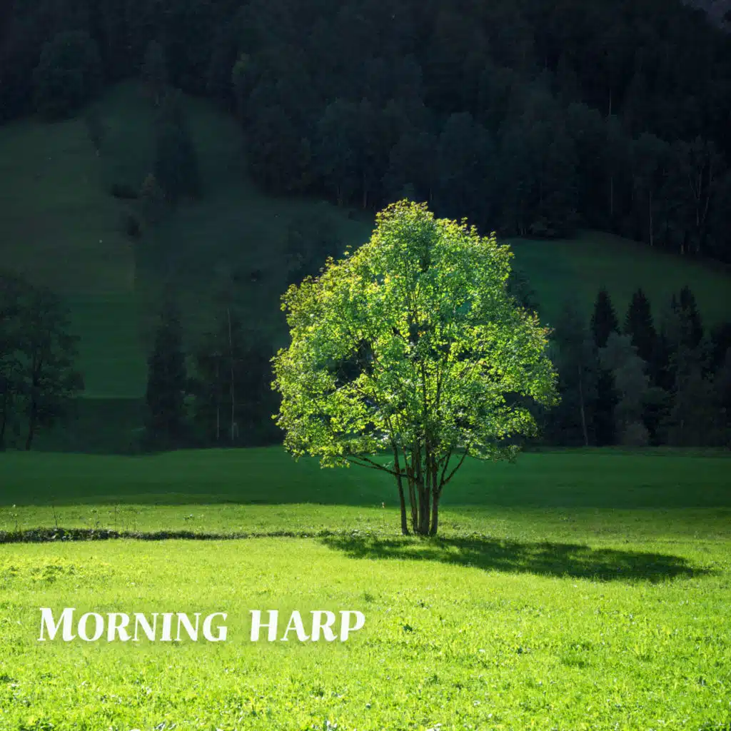 아침을 여는 숲속의 소리 향기 하프