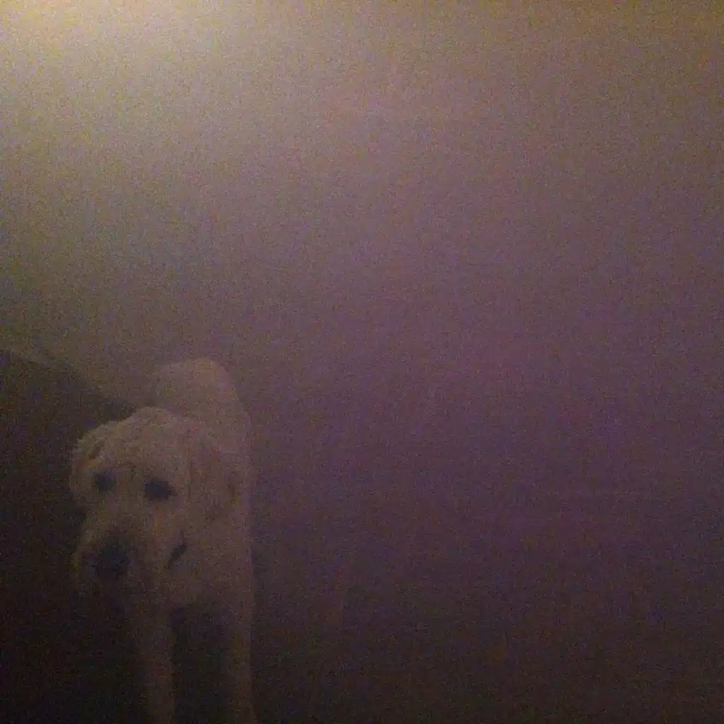 Remember - Surgeon Remix