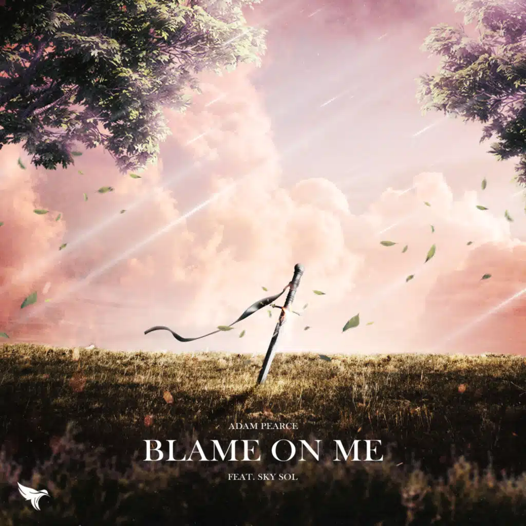 Blame On Me (feat. Sky Sol)