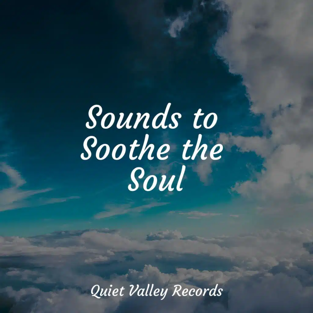 Sounds to Soothe the Soul