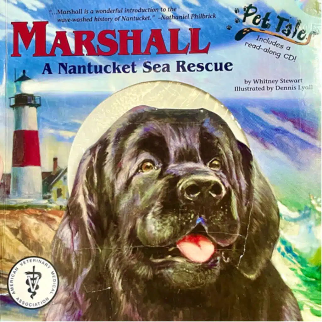 Marshall: A Nantucket Sea Rescue - by Whitney Stewart