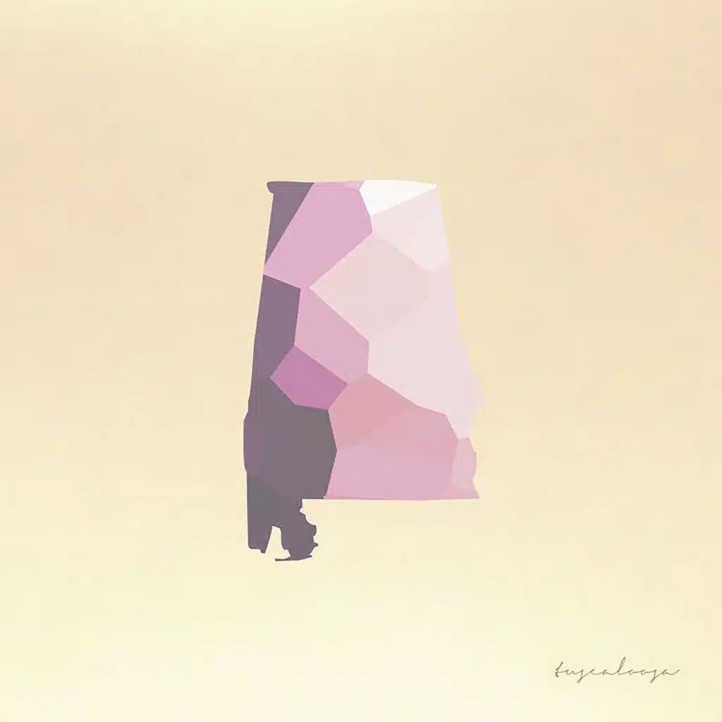 From The Lake To The Land (Live in Tuscaloosa)