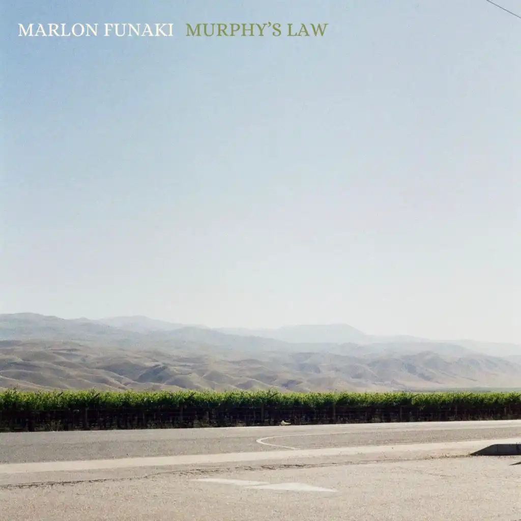 Murphy's Law