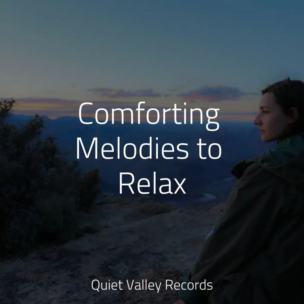 Comforting Melodies to Relax