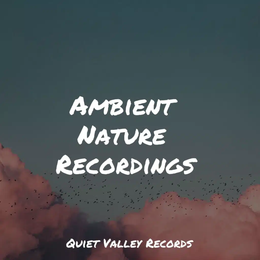 Ambient Nature Recordings