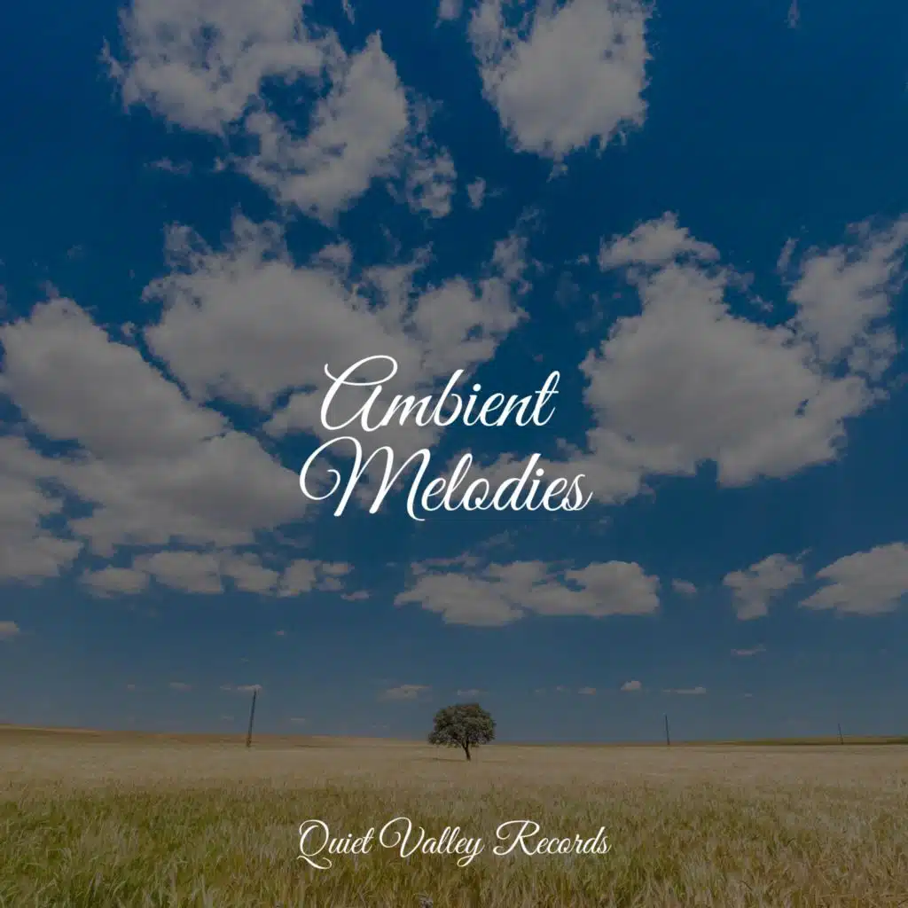 Ambient Melodies