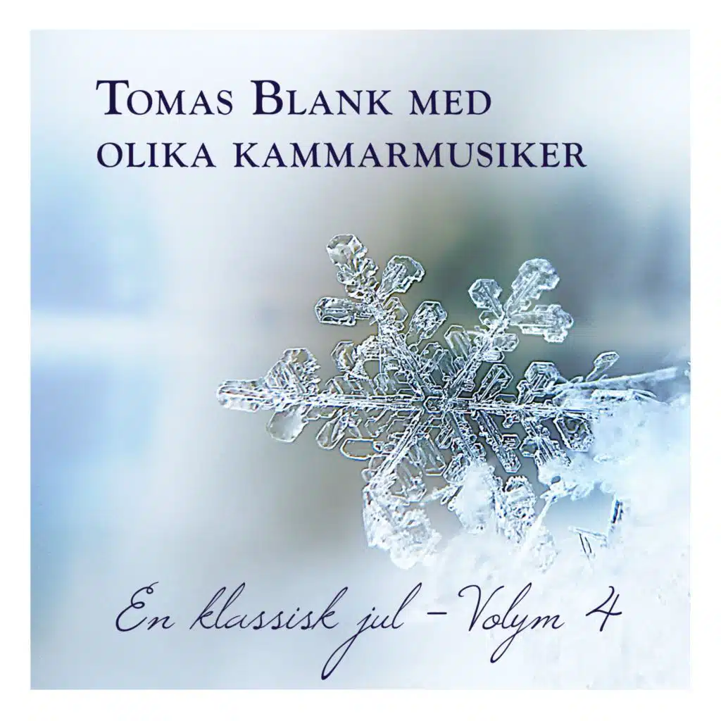 Hosianna, Davids son (feat. Pinzgauer Kammerorchester)