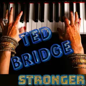 Ted Bridge